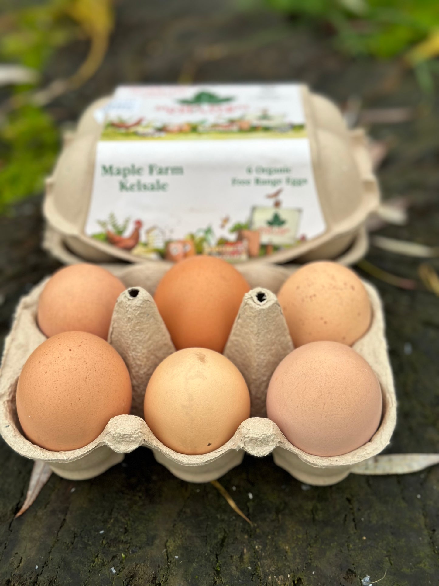 6 ORGANIC soya free eggs