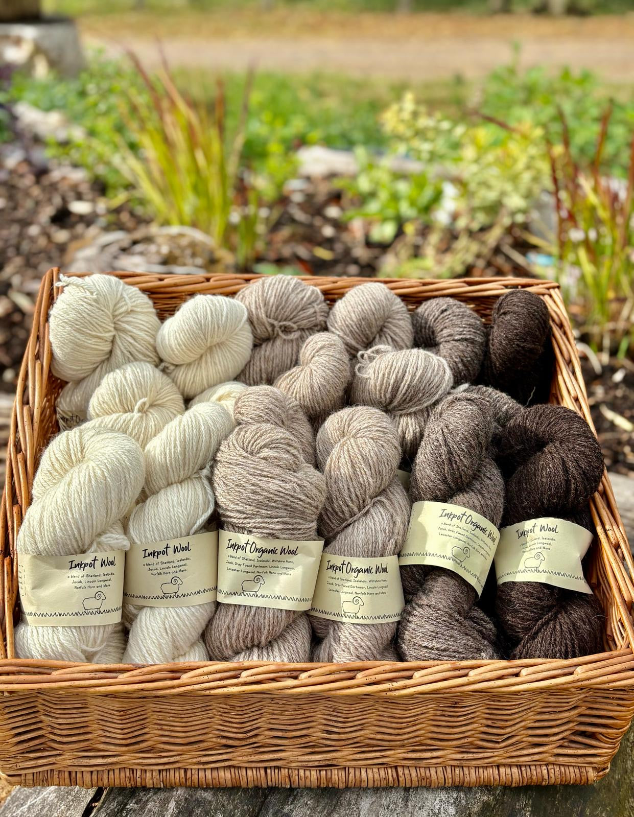 Organic Wool