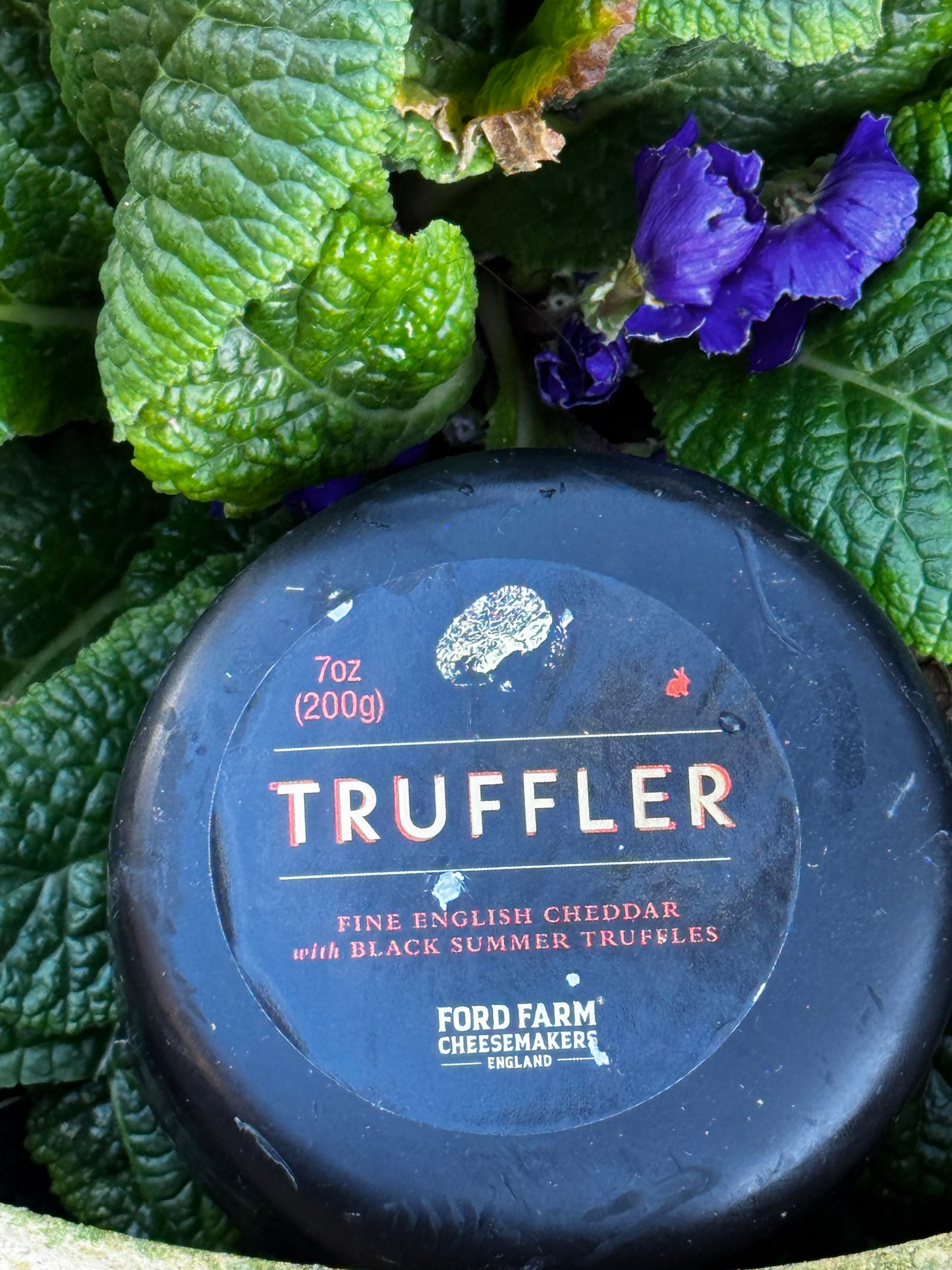 Ford Farm Fine English Cheddar with Black Summer Truffles