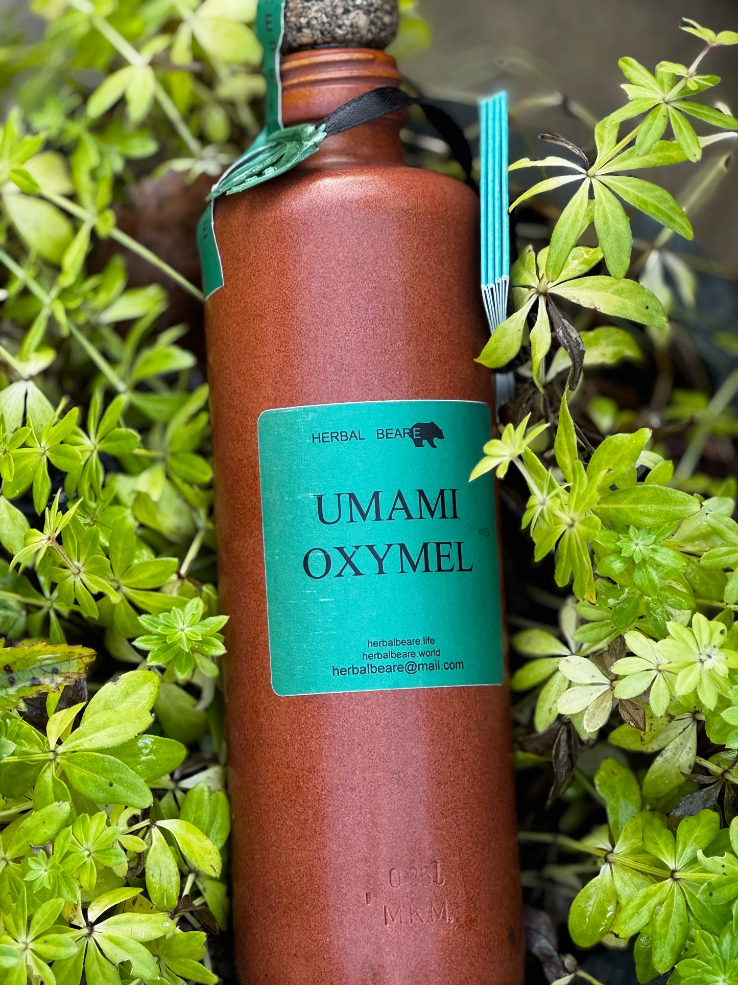 Oxymel Umami