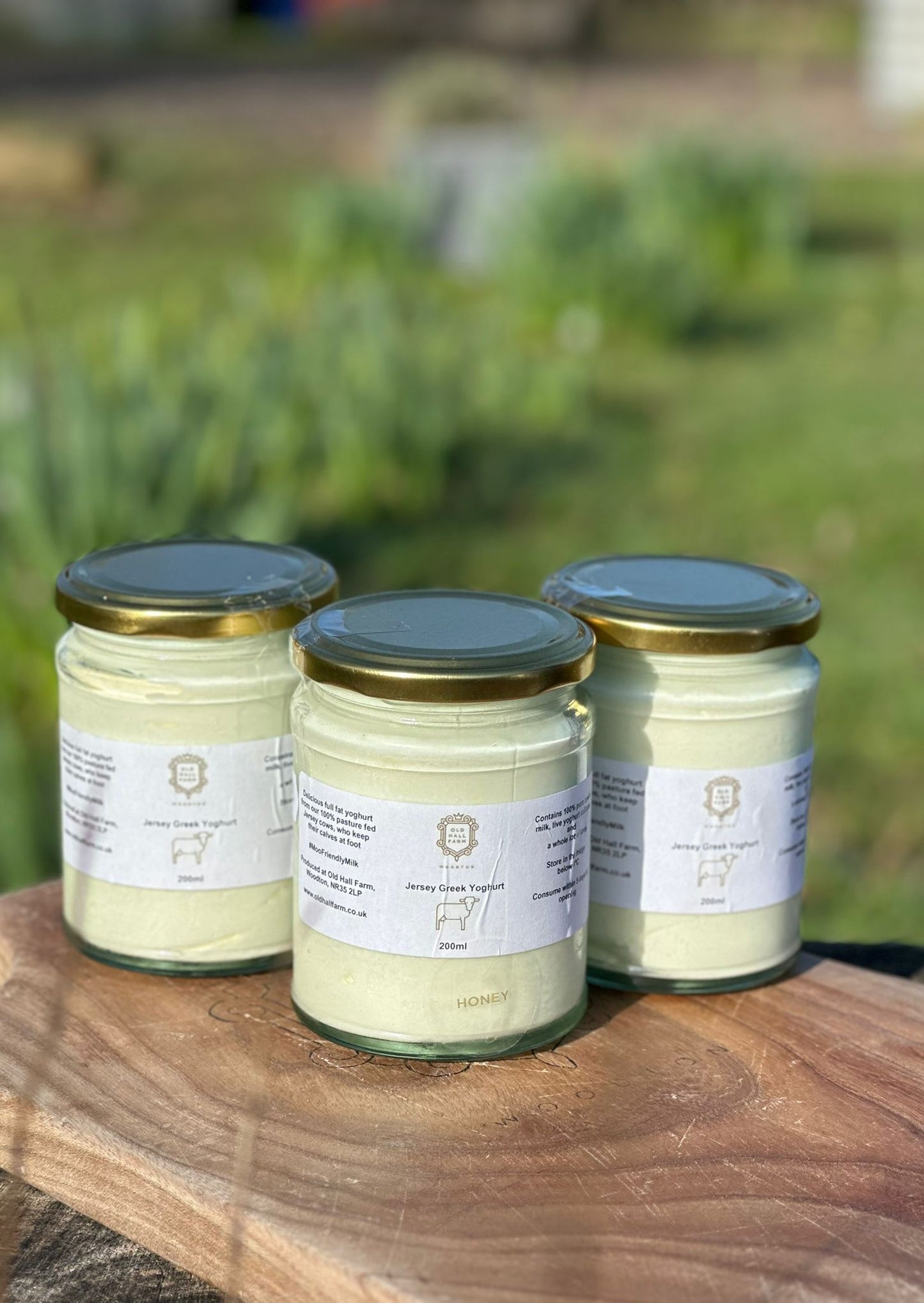 A2/A2 Greek Style Yoghurt - 200ml