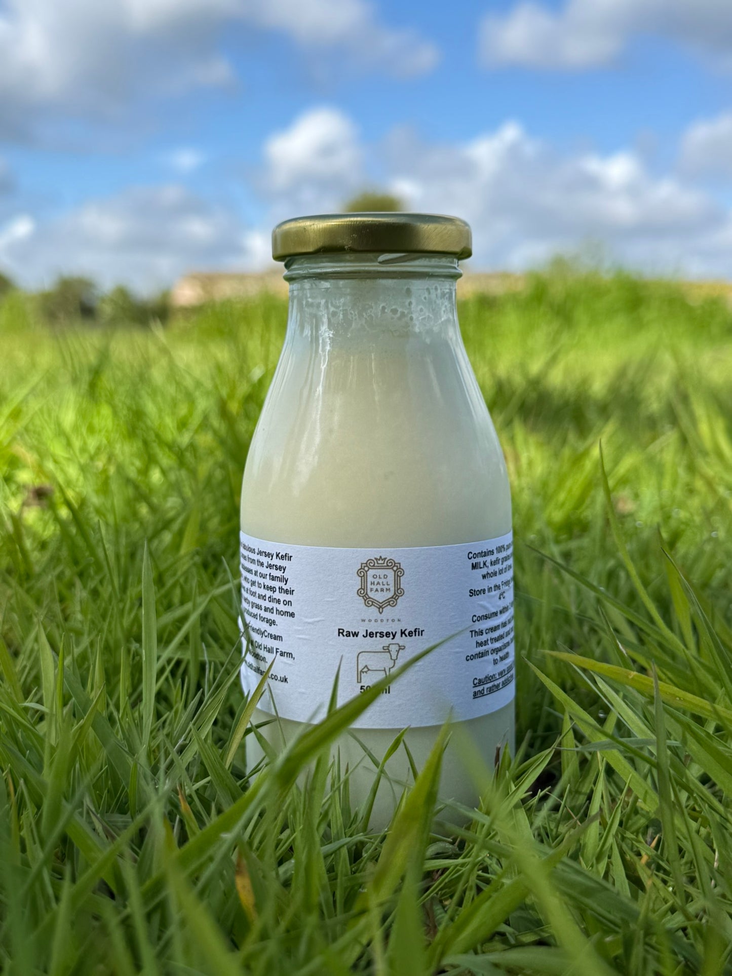 Kefir 250ml in Glass Bottles (full fat)