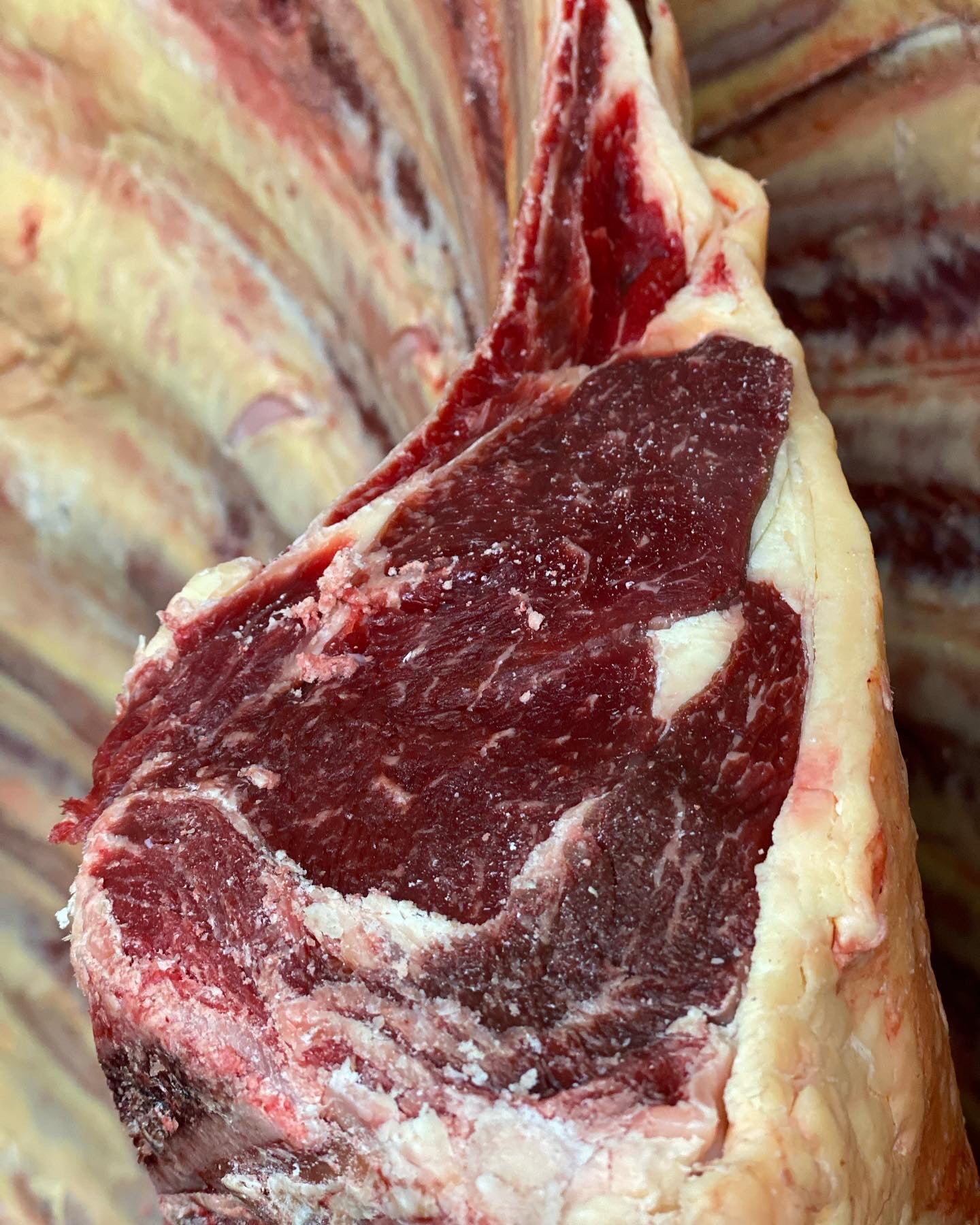 Jersey Beef box - taster selection - Limited Supply - Dispatch w/c 10/3