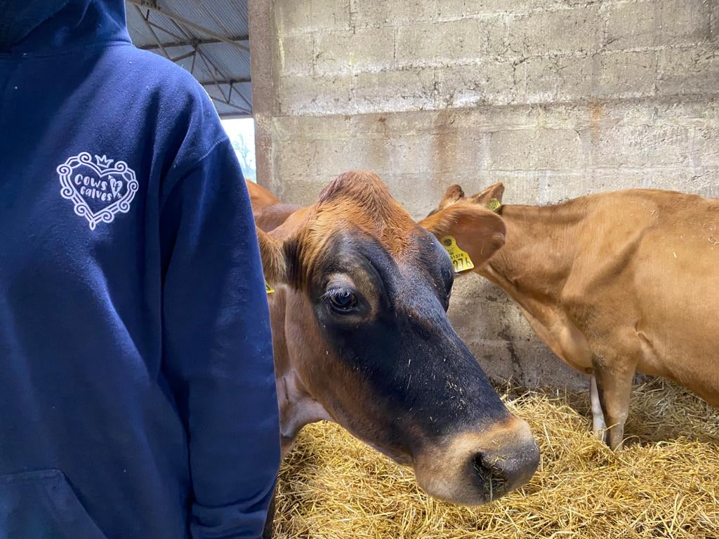 Old Hall Farm Hoodies