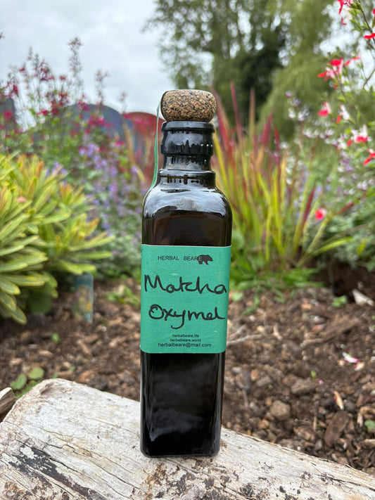 Matcha Oxymel