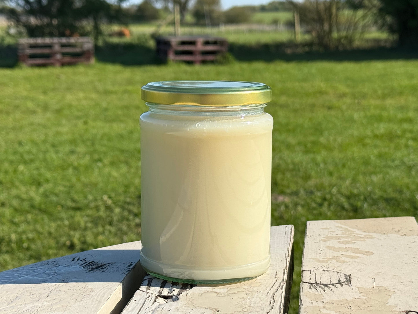 Pork Tallow