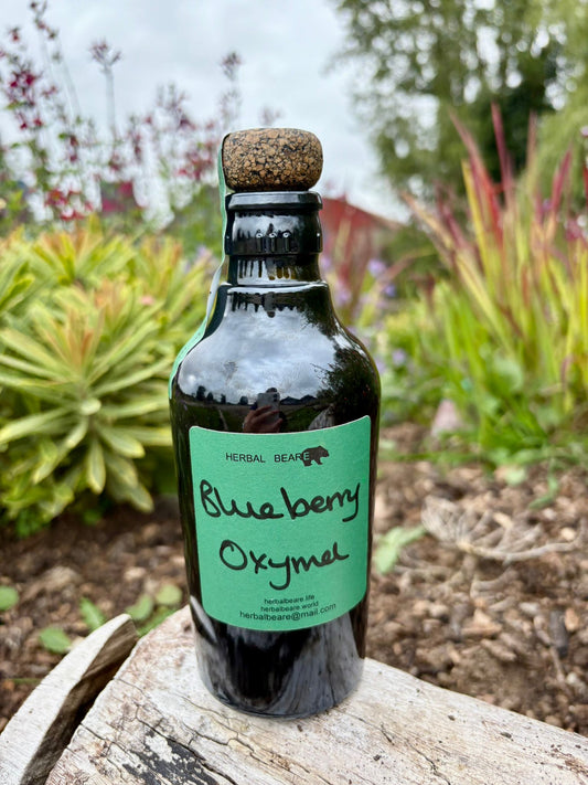 Blueberry Oxymel