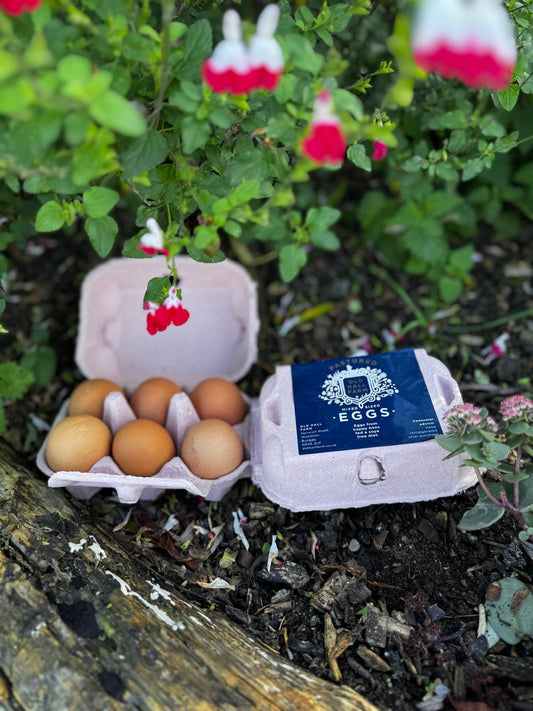 6 Pastured Eggs (soya free)