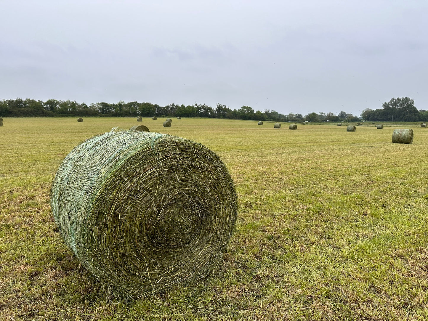 Hay bale donation