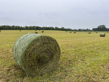 Hay bale donation