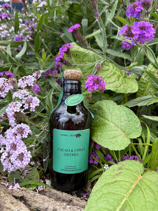 Cacao & Chilli Oxymel