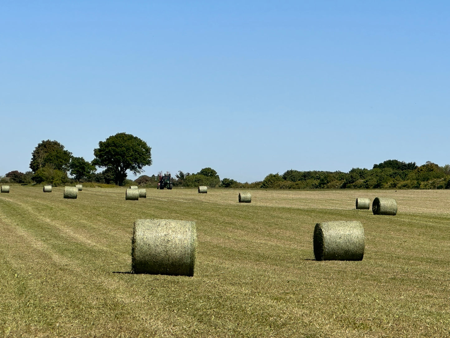 Hay bale donation