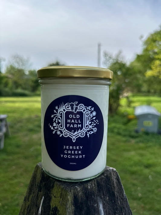 A2/A2 Greek Style Yoghurt with Raw Honey