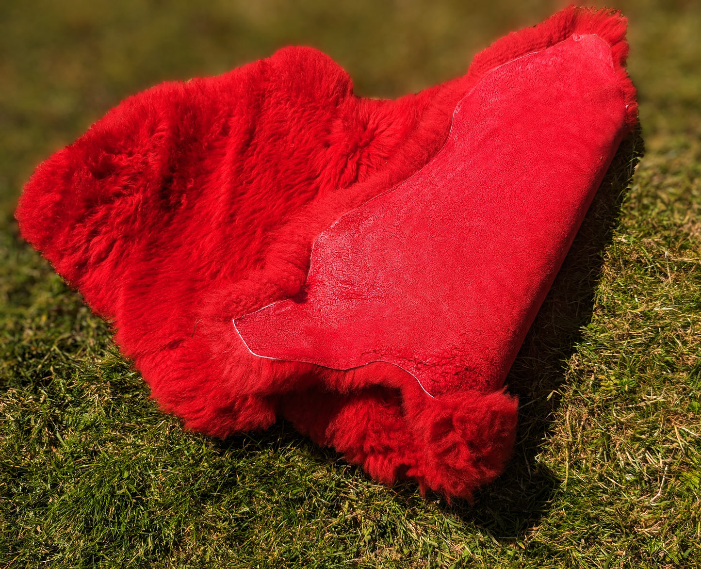 Eco Ewe Sheepskins (Blue Or Red)