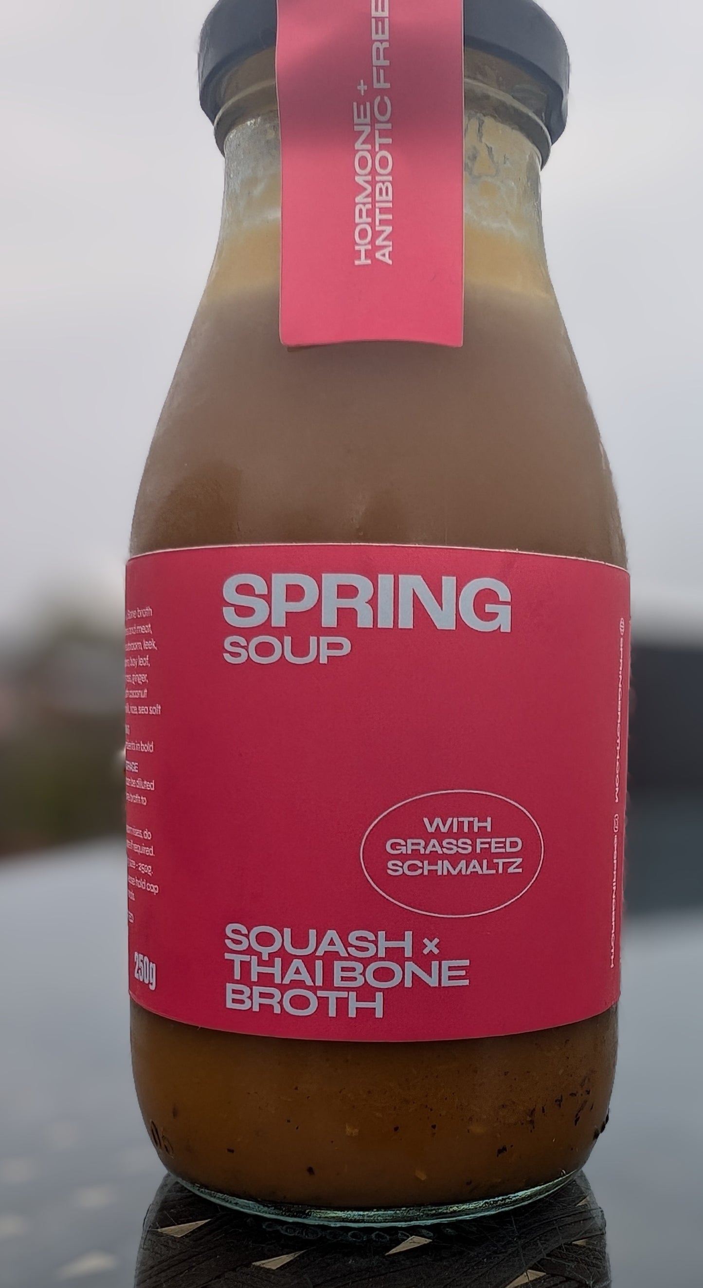 Spring Bone Broth & Bone Broth x Soup