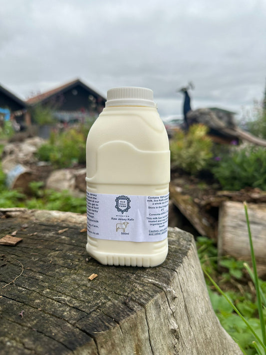 Kefir