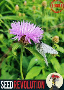 Seed Revolution