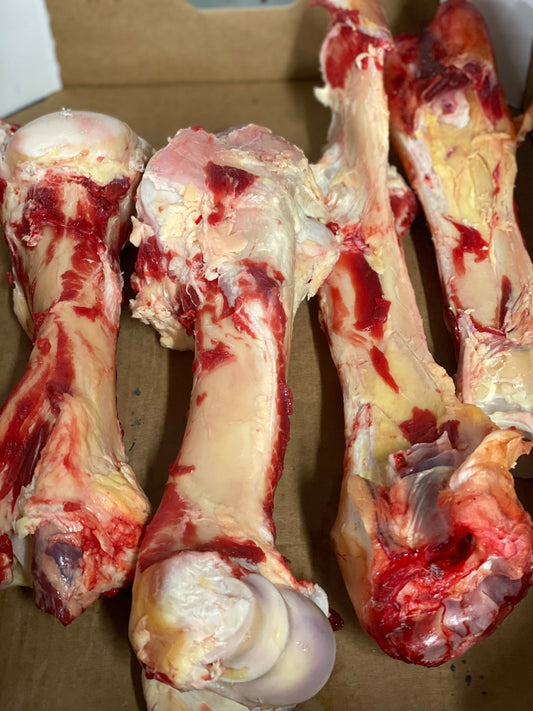 Marrow Bones