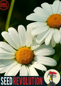 Seed Revolution
