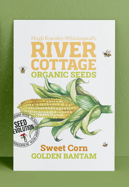 Seed Revolution