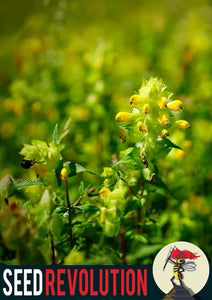 Seed Revolution