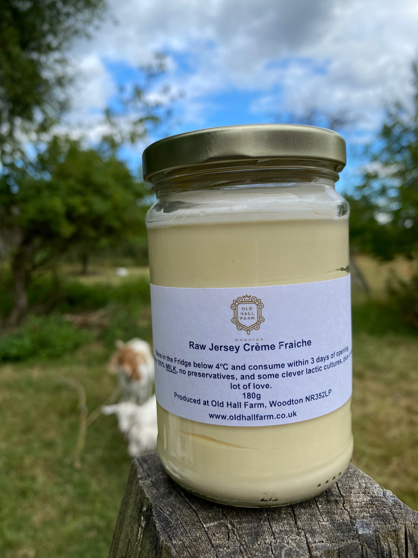 Raw Jersey Creme Fraiche